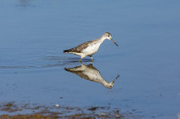 /album/foto-adriano/58a6228-copia-jpg/